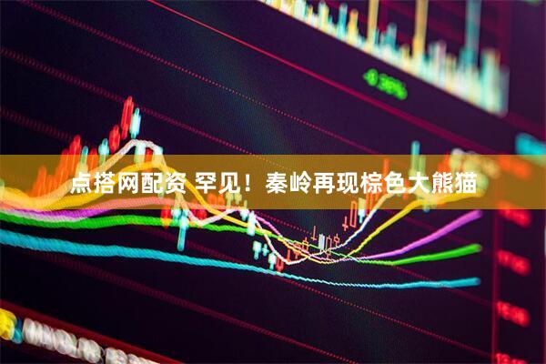 点搭网配资 罕见！秦岭再现棕色大熊猫